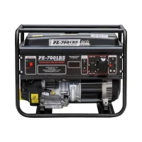Бензиновый генератор ECO PE-7001RS
