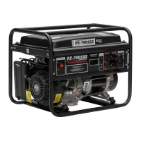 Бензиновый генератор ECO PE-7001RS